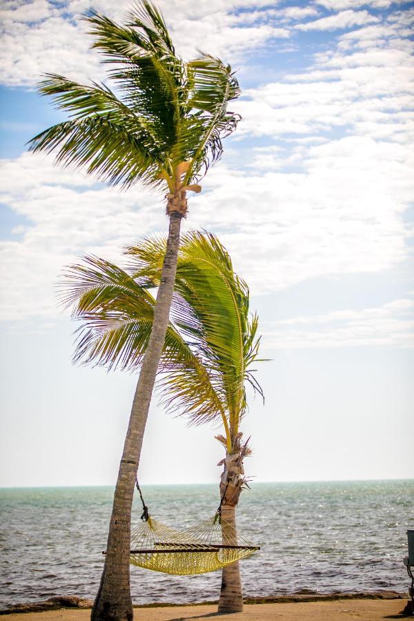 Ragged Edge Resort&Marina Islamorada Eksteriør billede